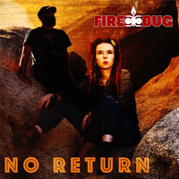 Firebug - No Return