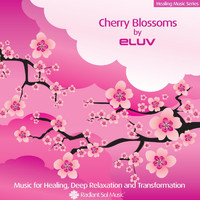 Eluv - Cherry Blossoms