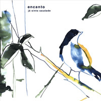 Encanto - Já Sinto Saudade