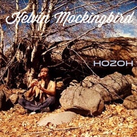 Kelvin Mockingbird - Hozoh (Live)