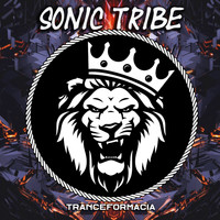Sonic Tribe - Tranceformacia