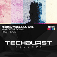 Michael Wells a.k.a. G.T.O. - King of the Sound / Pull It Back