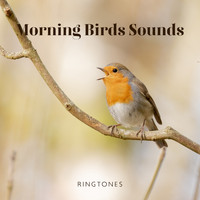 Calm Singing Birds Zone - Morning Birds Sounds: Ringtones – Music for Relaxation, Meditation, Yoga , Naturescapes, Forest Ambience and Spa