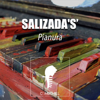 SALIZADA'S' - Pianura