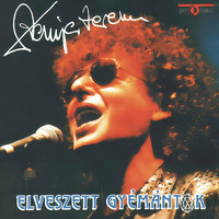 Demjén Ferenc - Elveszett Gyémántok