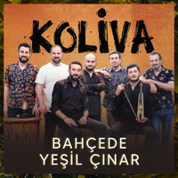 Koliva - Bahçede Yeşil Çınar (Akustik)