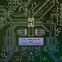 Rocco Rodamaal - Tbt3 (Dario D'Attis Remix)