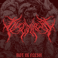 BLEED THE SKY - Rot in Flesh