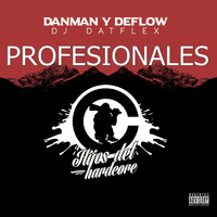 Danman and Deflow - Profesionales