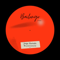 Jorge Hurtado - Experience