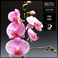 NuDivision - Come Home