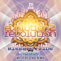 Bizzare Tribe and Spade - Evolution 2 Revolution (Mystery Sense Remix)