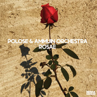 Polose and Ammuin Orchestra - Rosae
