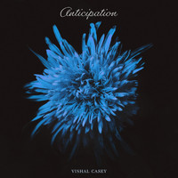 Vishal Casey - Anticipation