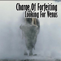 Circular - Guild Angels