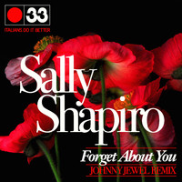 Sally Shapiro - Forget About You (Johnny Jewel's Amnesia Remix)