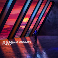 The Disco Biscuits - Evolve