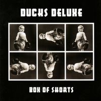 Ducks Deluxe - Box of Shorts