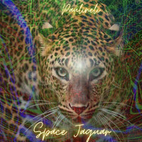 Paulineli - Space Jaguar
