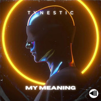 Tynestic - My Meaning