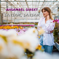 Ansambel Direkt - Sanjam, Sanjam