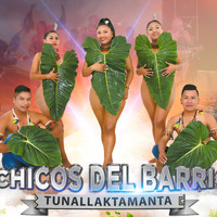 Chicos Del Barrio - Tunallaktamanta
