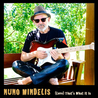 Nuno Mindelis - That's What It Is
