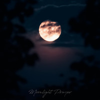 Adrien de la Salle - Moonlight Prayer