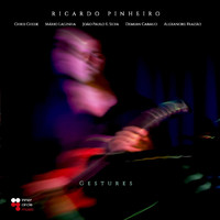 Ricardo Pinheiro - Gestures