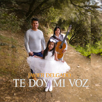Javier Delgado - Te Doy Mi Voz