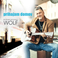 Božidar Wolfand Wolf - Prihajam domov