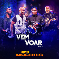 Os Mulekes - Vem Voar, Pt. 1