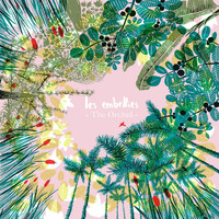 The Orchid - Les Embellies