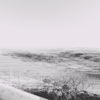 Hallien - Absence