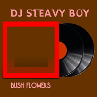 DJ Steavy Boy - Color Blind