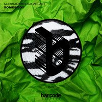 Alessandro Calzolaio - Somebody