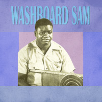 Washboard Sam - Presenting Washboard Sam