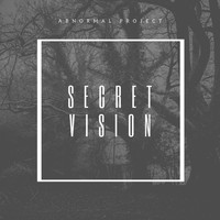 Abnormal Project - Secret Vision