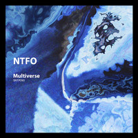 NTFO - Multiverse