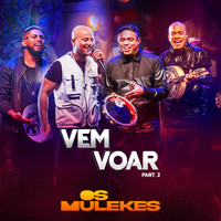 Os Mulekes - Vem Voar, Pt. 2
