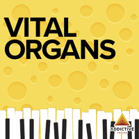 Anders Eliasson Roos & Michael Ellgren - Vital Organs