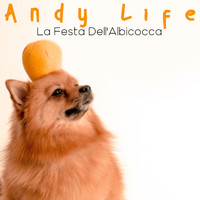 Andy Life - La Festa Dell'Albicocca