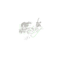 Schacke - Fashion Chronic