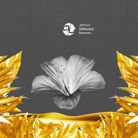 Mik&Ale - Someone