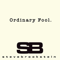 Steve Brookstein - Ordinary Fool