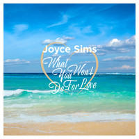 Joyce Sims - What You Won't Do for Love