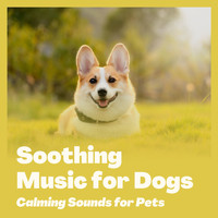 Music for Pets Specialists - Soothing Music for Dogs - Calming Sounds for Pets