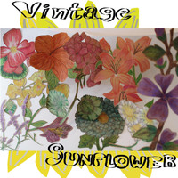 Rafinsky Albarran - Vintage Sunflower