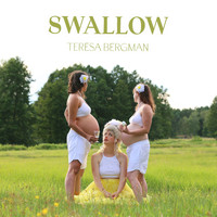 BERGMAN - Swallow