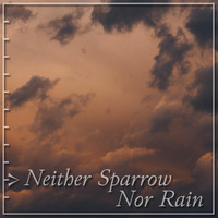 Matthew Labarge - Neither Sparrow nor Rain